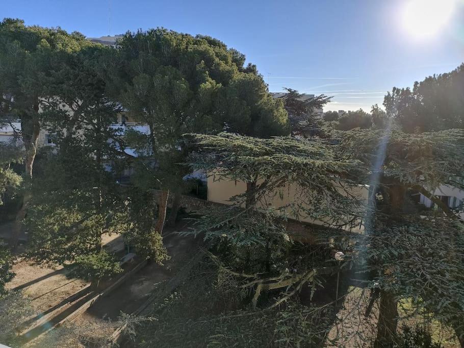 Beau Duplex Vue Mer - Terrasse - Garage - Wifi Sète Eksteriør bilde